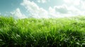 Vibrant Green Grass: A Refreshing Cut-Out Background for Your Designs - 3D Rendered Royalty Free Stock Photo
