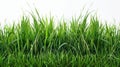 Vibrant Green Grass: A Refreshing Cut-Out Background for Your Designs - 3D Rendered Royalty Free Stock Photo