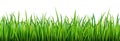 Vibrant green grass seamless pattern on white background, vector illustration