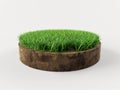 Cross Section of Grass Turf Royalty Free Stock Photo