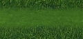 Vibrant green grass vector border, seamless repeat Ideal for spring designs , plant, isolated Royalty Free Stock Photo