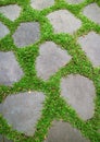 Vibrant green grasses glowing between garden stepping stones Royalty Free Stock Photo