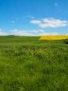 Vibrant green grassland, bright yellow rapeseed field and blue sky with clouds in North France Royalty Free Stock Photo