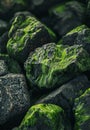 Vibrant green moss growing on dark rugged rocks