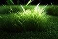 Vibrant green overgrown grass with grassy background. Royalty Free Stock Photo