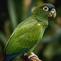Vibrant Green Parrot on a Branch AI-GENERATED Royalty Free Stock Photo