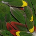 Vibrant Green Red Yellow Parrot Feathers Closeup Royalty Free Stock Photo
