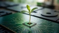 Green seedling growing from computer chip plant technology Royalty Free Stock Photo
