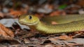 A vibrant green snake moves gracefully among fallen leaves in a serene forest setting Royalty Free Stock Photo