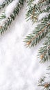 Vibrant green spruce branches lightly dusted with fresh white snow and tiny pine cones create a frame border on a pure, uniform Royalty Free Stock Photo