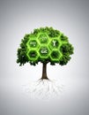 Green Tech Tree with a Digital Software Ecosystem Royalty Free Stock Photo
