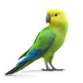 Vibrant Green Parrot Isolated on White Background, a Stunning 3D Render Royalty Free Stock Photo