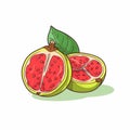 Vibrant Guava Fruit Vector Illustration With Bold Colors