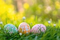 Colorful Easter Eggs in Spring Meadow, Easter Celebration Concept Royalty Free Stock Photo