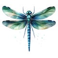 Vibrant Handpainted Watercolor Dragonfly Clipart on White Background AI Generated