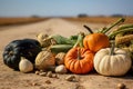 Vibrant Harvest: Colorful Pumpkins in a Natural Field - Generative AI