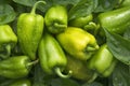 Vibrant harvest Homegrown green pepper paprika, rich in vitamins