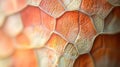 Vibrant Hexagonal Honeycomb Pattern in Close-Up View with Warm Orange and Red Hues