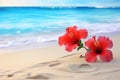 Vibrant Hibiscus Blooms On Sandy Beach, Maui Paradise