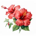 Hyperrealistic Red Hibiscus Flower Illustration On White Background