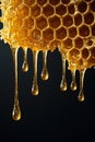 Vibrant honeycomb drips golden honey, creating an opulent effect against a matte black base with soft gold reflections