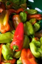 Vibrant hot peppers Royalty Free Stock Photo