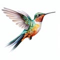 Vibrant Hummingbird in Flight Isolated on White Background. Generative ai Royalty Free Stock Photo