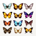 Vibrant Hyper-realistic Butterflies: A Stunning 3d Collection