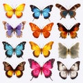 Vibrant Hyper-realistic Butterfly Illustrations On Transparent Background