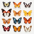 Vibrant Hyper-realistic Butterfly Illustrations On Transparent Background