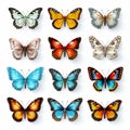 Vibrant Hyper-realistic Butterfly Illustrations On Transparent Background