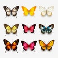 Vibrant Hyper-realistic Butterfly Illustrations On Transparent Background