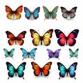 Vibrant Hyper-realistic Butterfly Set With Detailed Illustrations Royalty Free Stock Photo