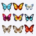 Vibrant Hyper-realistic Butterfly Set With Transparent Background