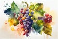 A vibrant illustration capturing the luscious beauty of grapes, showcasing their juicy and plump form in a delightful