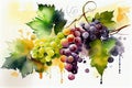 A vibrant illustration capturing the luscious beauty of grapes, showcasing their juicy and plump form in a delightful