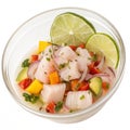 Ceviche Illustration Royalty Free Stock Photo