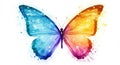 Artistic butterfly transformation gradient color splatter illustration Royalty Free Stock Photo