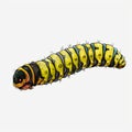 Realistic Caterpillar Illustration With Surrealistic Elements