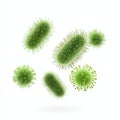 A vibrant illustration of various green bacteria, showcasing their distinct shapes and structures on a clean white background, Royalty Free Stock Photo