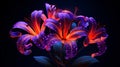 Vibrant Illustrations Of Blooming Purple Lilies On A Dark Background