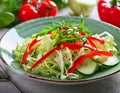 Freshness in Every Bite: Crisp Vegetable Salad Royalty Free Stock Photo