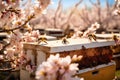 A vibrant image capturing a busy hive of bees constructing their hive and going about their tasks, Organic bees swarming their