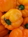 Vibrant image featuring a close-up of a stack of orange bell peppers
