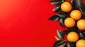 Fresh Oranges on Red Background Royalty Free Stock Photo