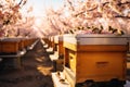 A vibrant image showcasing a multitude of busy bees inside a wooden beehive, diligently producing honey, Organic bees swarming