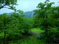 Vibrant Indian monsoon scene-II Royalty Free Stock Photo