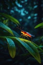Luminous Red Insect on Green Leaf in Dark Forest Royalty Free Stock Photo
