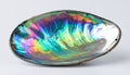 Vibrant Iridescence of a Polished Abalone Shell Royalty Free Stock Photo