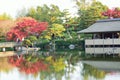 Vibrant Japanese autumn maple leaves Landscape around pond waters